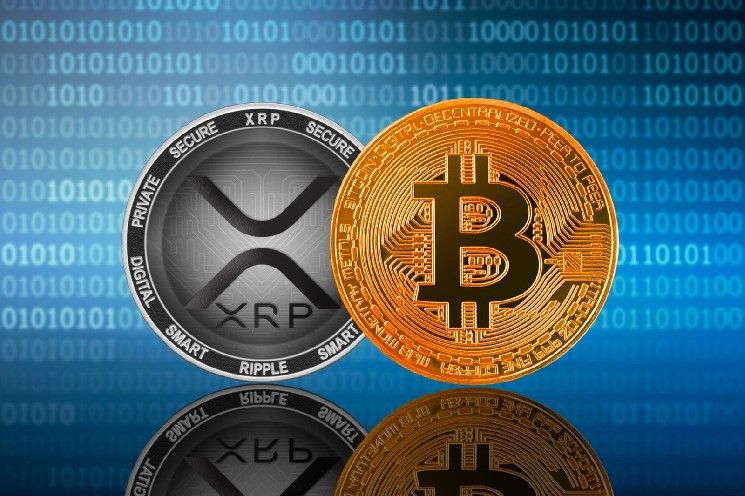 مفارقة XRP: لماذا تنهار عملة ريبل "نجم الشمال" أمام الدولار بينما تستعد للتغلب على البيتكوين