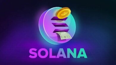 ما هي الاحتمالات: 6% فقط من متداولي عملات الميم على سولانا حققوا أرباحًا خلال 90 يومًا