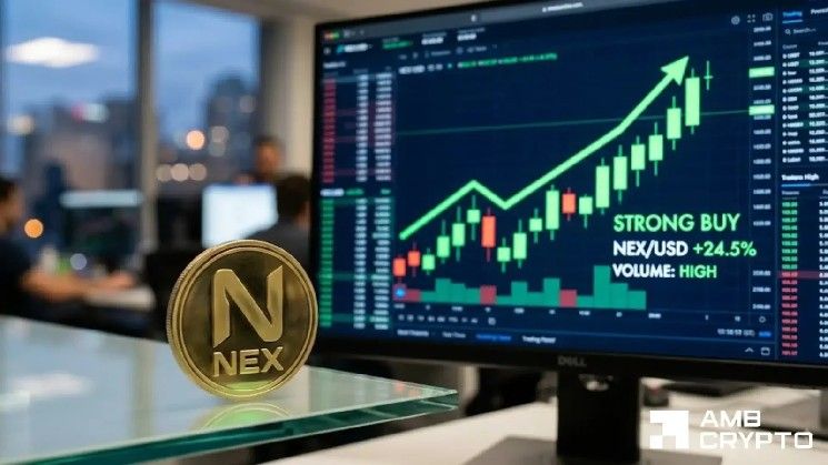 صندوق نيكسوس يقفز 18% مع وصول التمويل إلى 0.0175% – عاملان رئيسيان يغذيان تحرك NEX