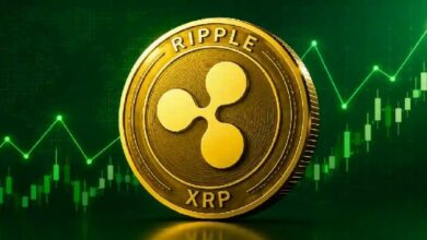 أخبار XRP: لماذا يصف أحد المحللين XRP بأنه «الذهب بسرعة الإنترنت»