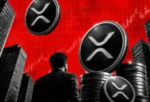 قائمة أغنياء XRP تتوسع مع ارتفاع محافظ المليون XRP رغم انخفاض السعر 70%
