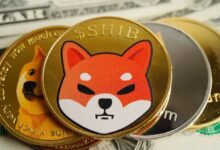 إنجاز جديد لشيبا إينو (SHIB) في اليابان: عملة الميم تدخل القائمة المرموقة من 6 عملات رقمية معتمدة فقط