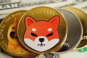 إنجاز جديد لشيبا إينو (SHIB) في اليابان: عملة الميم تدخل القائمة المرموقة من 6 عملات رقمية معتمدة فقط