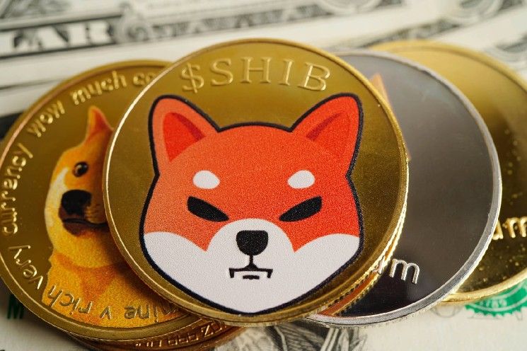إنجاز جديد لشيبا إينو (SHIB) في اليابان: عملة الميم تدخل القائمة المرموقة من 6 عملات رقمية معتمدة فقط