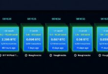 مع تنامي هجمات إعادة التشغيل، مؤيدو BIP-110 يصفون البيتكوين بـ"عملة السبام"