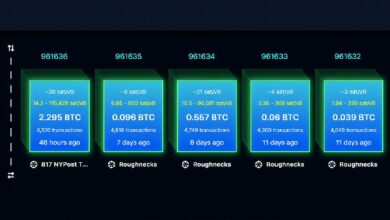 مع تنامي هجمات إعادة التشغيل، مؤيدو BIP-110 يصفون البيتكوين بـ"عملة السبام"