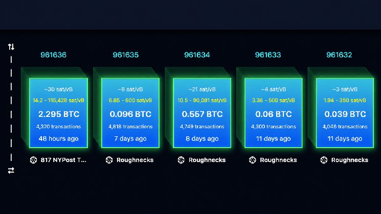 مع تنامي هجمات إعادة التشغيل، مؤيدو BIP-110 يصفون البيتكوين بـ"عملة السبام"