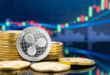 إجمالي القيمة السوقية لـ XRP يتفوق على ناتج بيلاروسيا المحلي مع قفز العقود المفتوحة إلى 3.56 مليار دولار