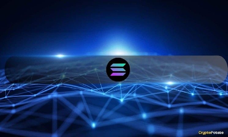 سولانا (SOL) يُظهر 3 إشارات صعودية: هدف 100 دولار يعود إلى الأفق