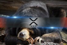 أربع سنوات متتالية: هل يكسر XRP سلسلة أغسطس الهابطة؟