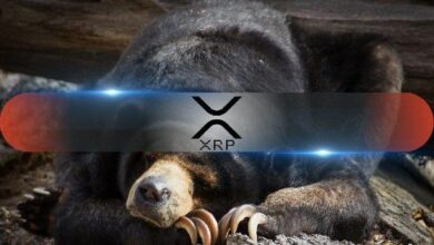 أربع سنوات متتالية: هل يكسر XRP سلسلة أغسطس الهابطة؟