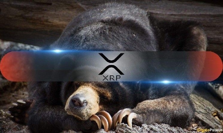 أربع سنوات متتالية: هل يكسر XRP سلسلة أغسطس الهابطة؟