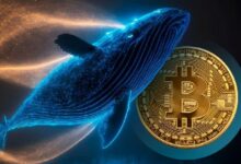 كوانت: حيتان البيتكوين والإيثريوم وXRP تشتري، قد يقترب السوق الهابط من مرحلته الأخيرة!