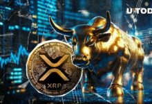 XRP يتفوق على جميع العملات ضمن قائمة أفضل 100