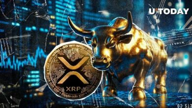 XRP يتفوق على جميع العملات ضمن قائمة أفضل 100
