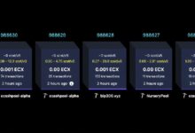 شوكة بول ستورك للبيتكوين ECX تتجاوز 25,000 بلوك في 13 ساعة فقط