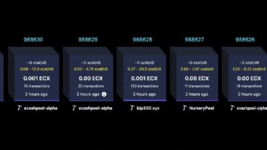شوكة بول ستورك للبيتكوين ECX تتجاوز 25,000 بلوك في 13 ساعة فقط