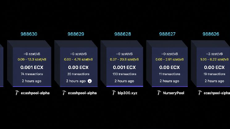 شوكة بول ستورك للبيتكوين ECX تتجاوز 25,000 بلوك في 13 ساعة فقط