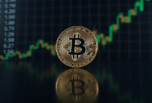 سعر بيتكوين عند 60 ألف دولار؟ الرئيس التنفيذي لـ"نانسن": العملة لن تعود لتلك المستويات، لكن البعض يختلف