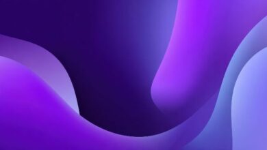 سوداكس يتيح إيداعات فلينت عبر الشبكات المتعددة