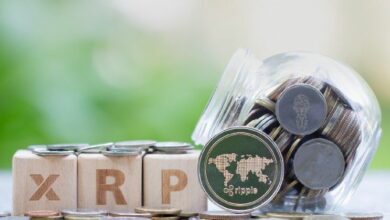 إذا كنت استثمرت 1000 دولار في عملة XRP في بداية 2026؛ إليك كم سيكون لديك الآن