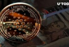 كاردانو يحقق إنجازًا كبيرًا في اليابان مع إدراج عملة ADA في منصة مرتبطة بسوني