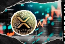 ارتفاع احتياطي XRP في البورصات بعد تراجعه إلى المركز السادس بين الأصول الرقمية