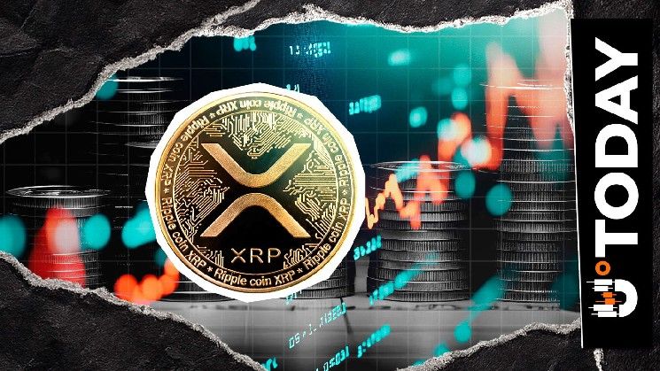 ارتفاع احتياطي XRP في البورصات بعد تراجعه إلى المركز السادس بين الأصول الرقمية