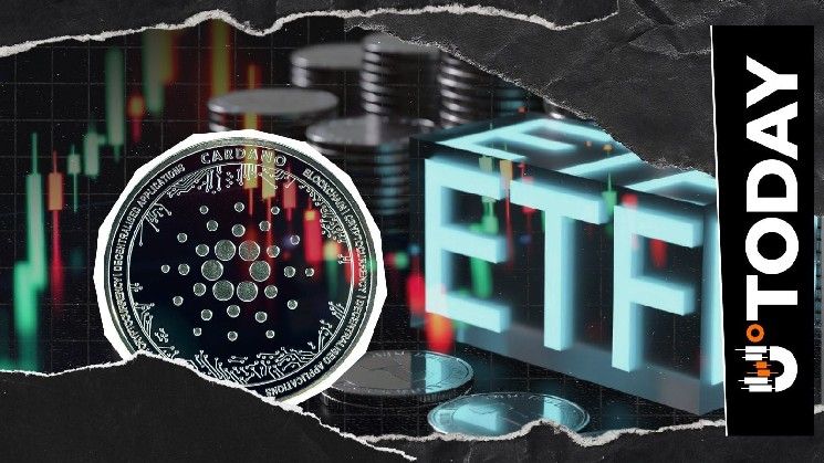 كاردانو يتمسك بمستوى 0.2 دولار رغم رفض ETF: ما التالي لعملة ADA؟