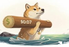 إعداد نادر لدوجكوين يعكس 2022 – هل يكرر DOGE ارتفاعه بنسبة 140%؟