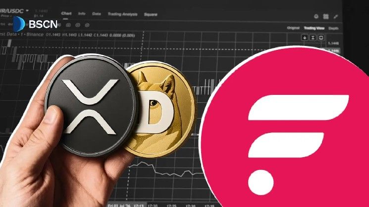 كيف تمكّن أصول Flare Network المشتقة (FAssets) عملتَي XRP ودوجكوين من دخول عالم التمويل اللامركزي؟