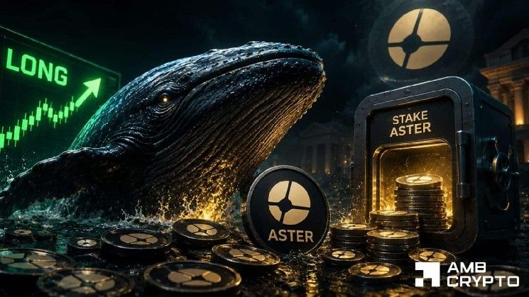 حوت ASTER يراهن بـ4.3 مليون دولار ومقامرة تخزين بـ2.4 مليون — ماذا يعني ذلك؟