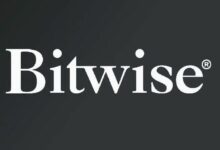 كبير مسؤولي الاستثمار في Bitwise يرى أن الحالة الصعودية للعملات الرقمية تتعزز بفضل 5 تحولات رئيسية
