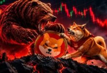 شيبا إينو تنخفض 16% وسط ضغط بيعي حاد: هل يتمكن مضاربوه من الصمود؟