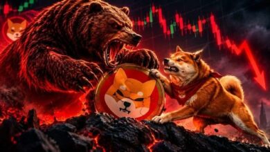 شيبا إينو تنخفض 16% وسط ضغط بيعي حاد: هل يتمكن مضاربوه من الصمود؟