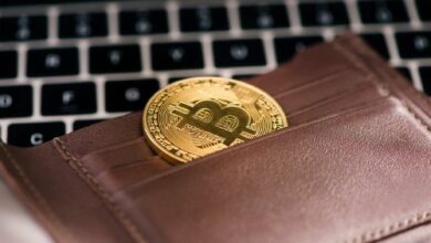 خبير محلل: العملات الرقمية "تعاني من هيمنة العملات الميمية الاحتيالية والإخفاقات الأمنية"