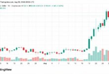 كريبو ويكلي: سولانا تقود مكاسب العملات البديلة بينما تتراجع XRP ودوجكوين