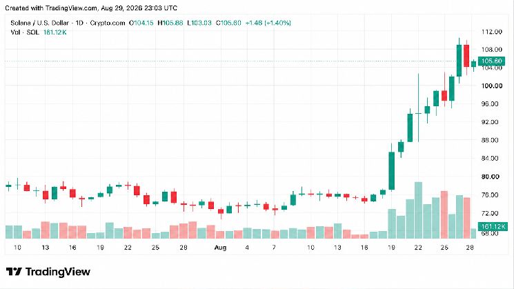 كريبو ويكلي: سولانا تقود مكاسب العملات البديلة بينما تتراجع XRP ودوجكوين