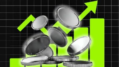 لماذا ارتفع سعر توكن Momentum (MMT) بنسبة 77% اليوم؟