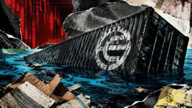 أحد أكبر الحيّازين المؤسسيين لـWorldcoin يتكبد خسارة 207 ملايين دولار بعد فقدان مصدر تمويله الرئيسي