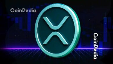 شرح إصدار XRP Ledger v3.3.0: 6 ميزات جديدة قادمة إلى الشبكة