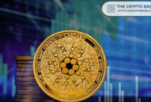 كاردانو يقفز 12% متجاوزًا 0.20 دولار لأول مرة منذ شهرين