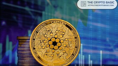 كاردانو يقفز 12% متجاوزًا 0.20 دولار لأول مرة منذ شهرين