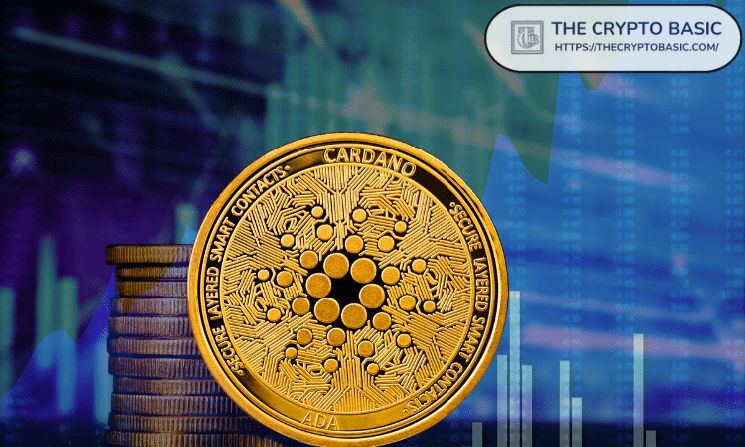كاردانو يقفز 12% متجاوزًا 0.20 دولار لأول مرة منذ شهرين