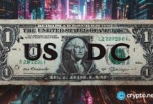 التحويلات عبر العملات المستقرة تلامس 9% في اختبار البنك المركزي الإيطالي