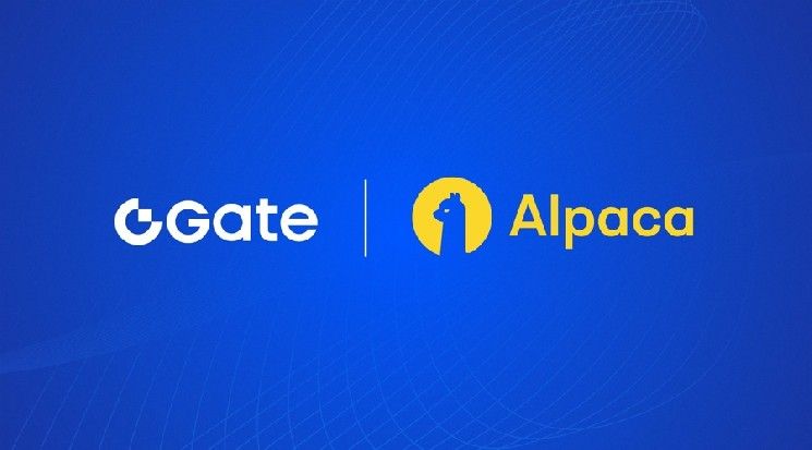 Gate تتبع بينانس في الأسهم الأمريكية مع 10,000 سهم وصناديق متداولة