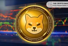 أبرز المتحدثين باسم فريق Shiba Inu يعود إلى منصة X بعد شهرين من الصمت