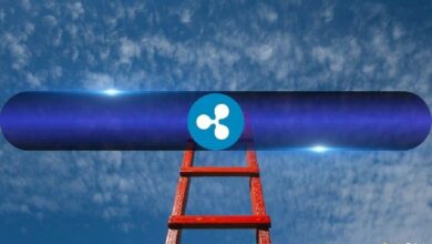 XRP يرسم نمطًا طويل الأمد مع هدف سعري عند 27 دولارًا: تحليل خبير