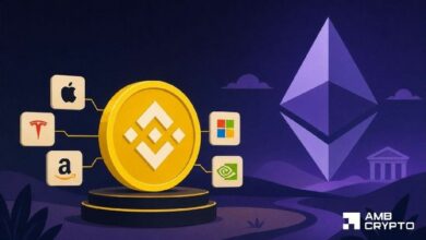 سلسلة BNB تستحوذ على 50% من الأسهم المرمزة – ما الذي يقود هذا الارتفاع؟