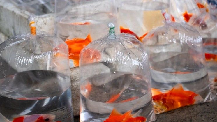 2,628 بيتكوين محوَّلة من كريبتو.كوم إلى محفظة مجهولة